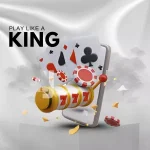 라이프벳 디시 정보 블로그